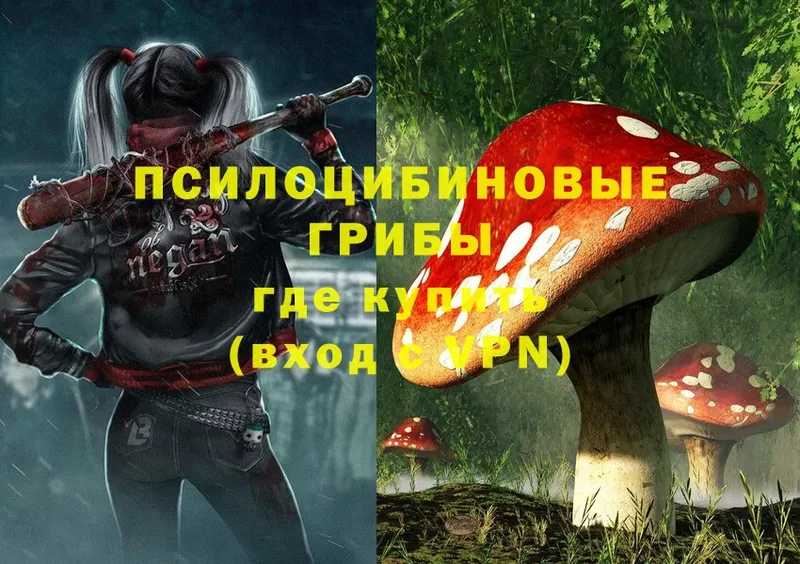 Псилоцибиновые грибы Magic Shrooms Когалым